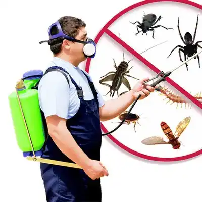 pest control Raytown